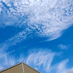 63位のイメージ