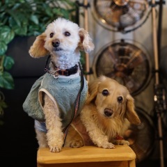 29位のイメージ