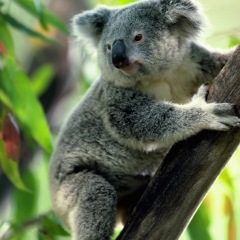 127位のイメージ