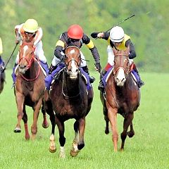 10位のイメージ