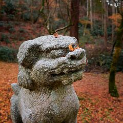 29位のイメージ