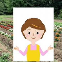 49位のイメージ