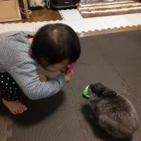 51位のイメージ