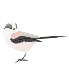 18位のイメージ