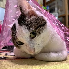 24位のイメージ