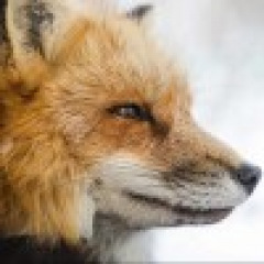 64位のイメージ