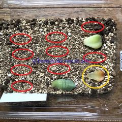 89位のイメージ