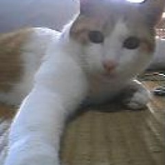 14位のイメージ