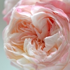 16位のイメージ