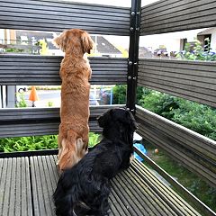 19位のイメージ