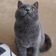 14位のイメージ