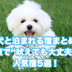 97位のイメージ