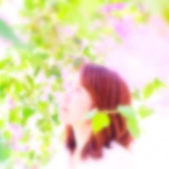夫婦再構築 人気ブログランキング