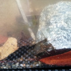 30位のイメージ