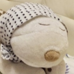 29位のイメージ