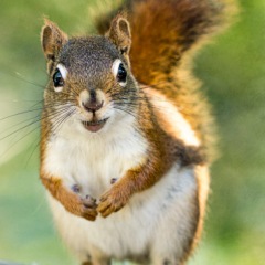 63位のイメージ