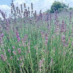 23位のイメージ