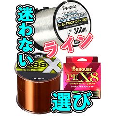 43位のイメージ