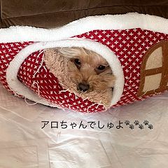 25位のイメージ