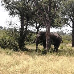 16位のイメージ