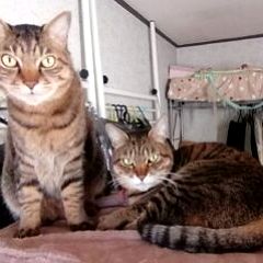 21位のイメージ