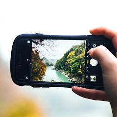 11位のイメージ