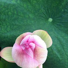 11位のイメージ