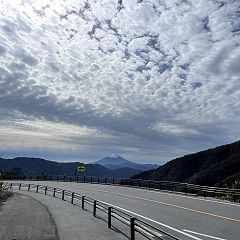 29位のイメージ