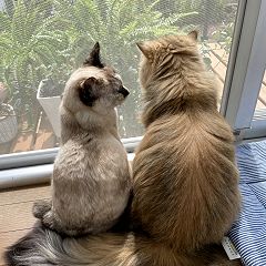 18位のイメージ