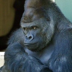 104位のイメージ