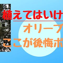 75位のイメージ