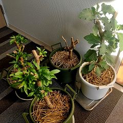 110位のイメージ