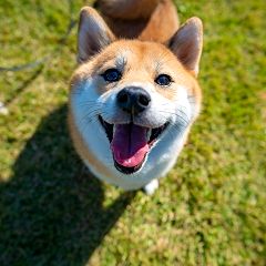 95位のイメージ