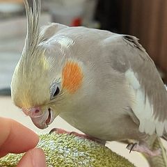 13位のイメージ