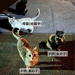 125位のイメージ