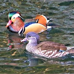 15位のイメージ