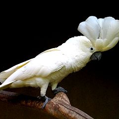 223位のイメージ