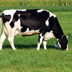 160位のイメージ