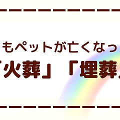 88位のイメージ