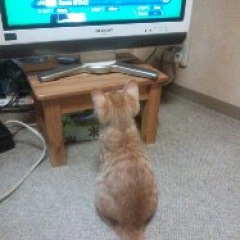 20位のイメージ