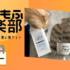 33位のイメージ