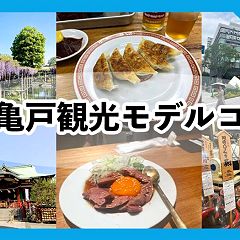 65位のイメージ