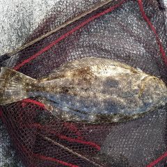 47位のイメージ