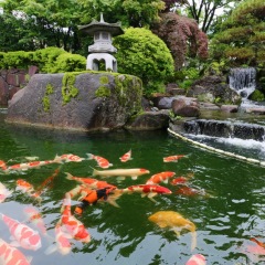 65位のイメージ