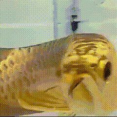 282位のイメージ