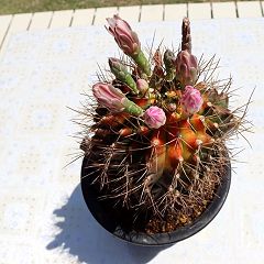 24位のイメージ