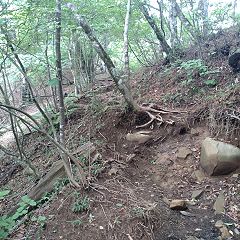 43位のイメージ