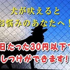 95位のイメージ