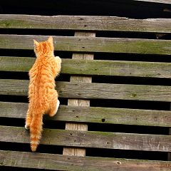 27位のイメージ