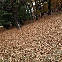 16位のイメージ